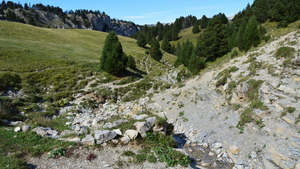 Réparation dégât des eaux Challans